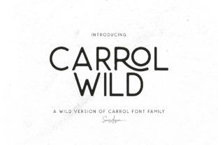 Unleashing Creative Flair with the Carrol Wild Display Typeface